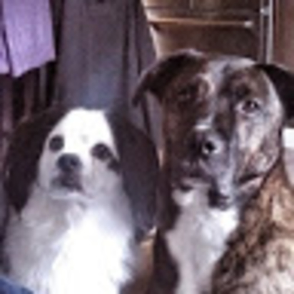 Meet your Posher, Charlane